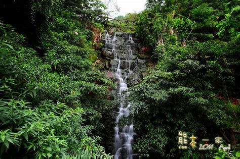 花岩山林命案